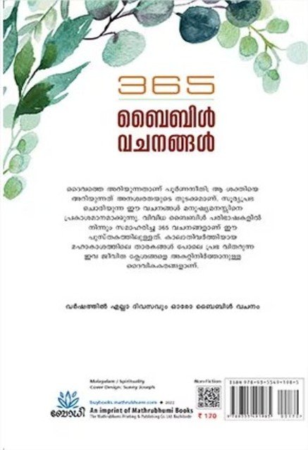 additionalImages-1737353244017.jpg- 1