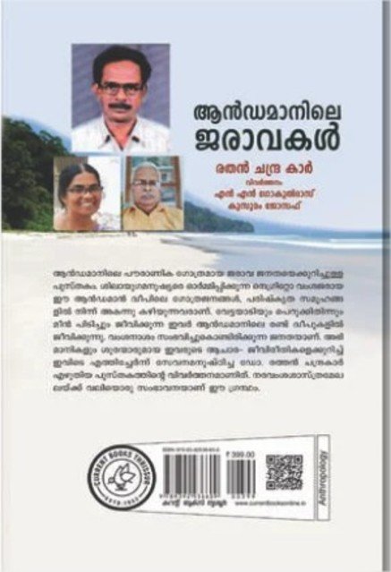 additionalImages-1738902211733.jpg- 1